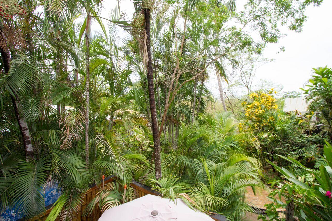 Tamarindo Village Hotel Luaran gambar